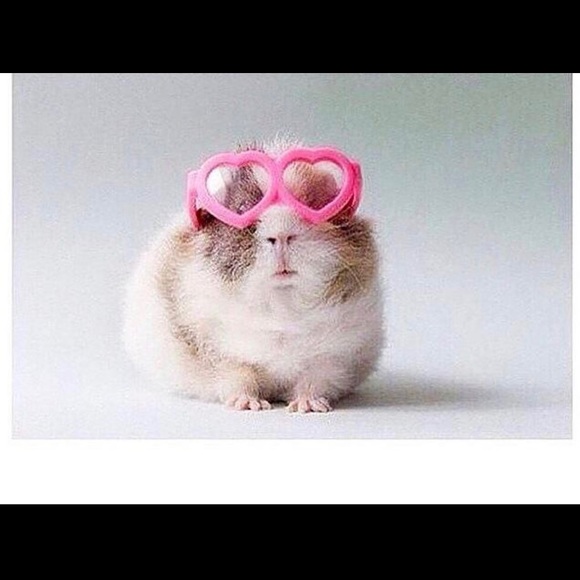 fluffnbutter